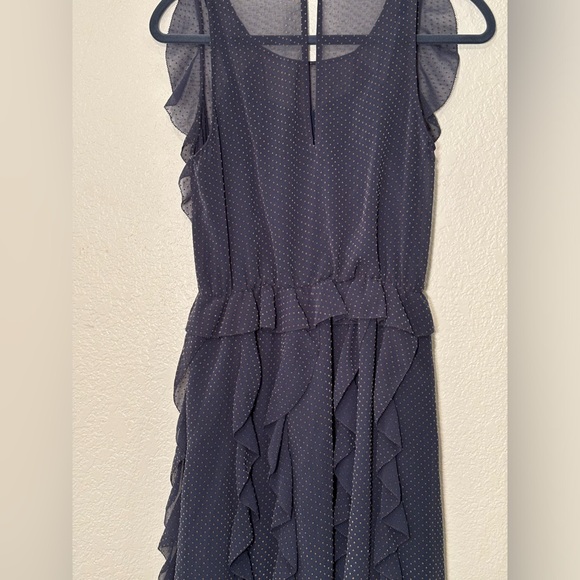 Sachin + Babi Swiss Blue with tan dot ruffle dress size 2 - Picture 4 of 7